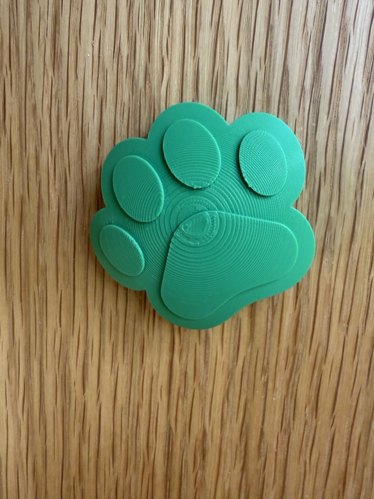 The 3D-printed, paw-shaped wall-mounted button for Dog Mode
